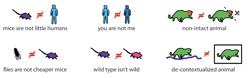 figure from Gomez-Marin et al, 2021